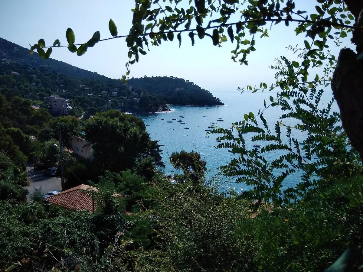 Charmant Appartement A Cavalaire-Sur-Mer Avec Terrasse